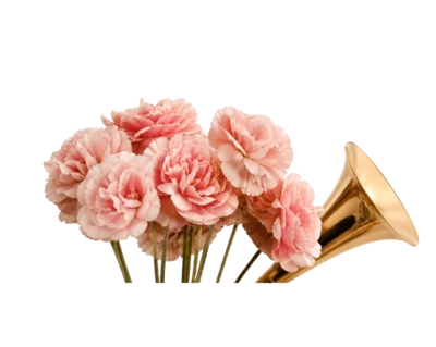 Decoration
